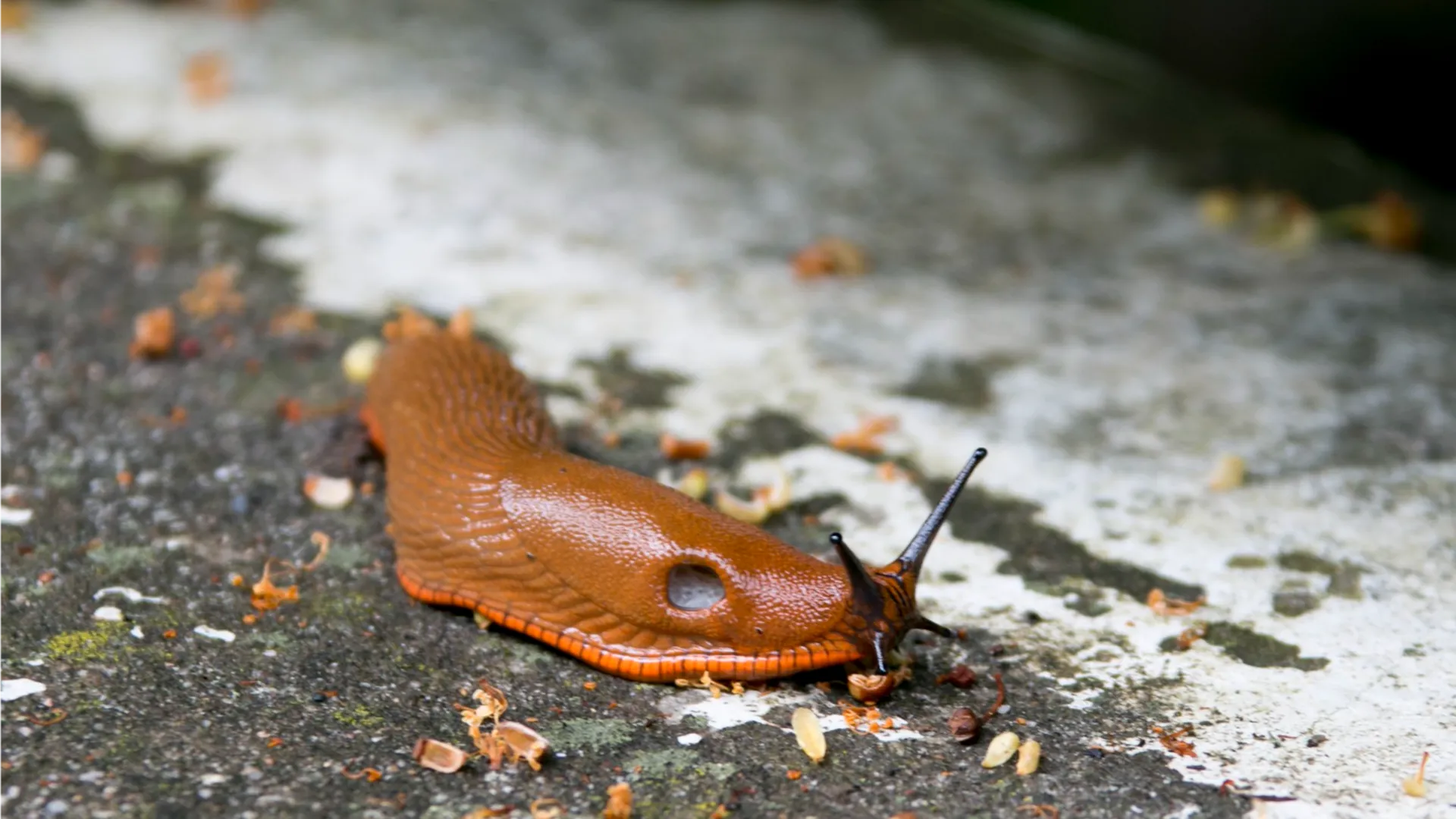 Фото: freepik.com