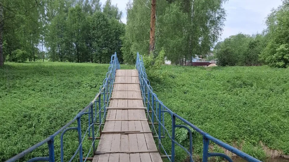 Фото:  пресс-служба администрации м.о. Лотошино