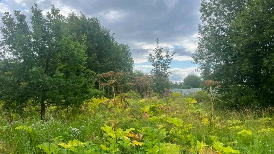 Фото: t.me/piragova