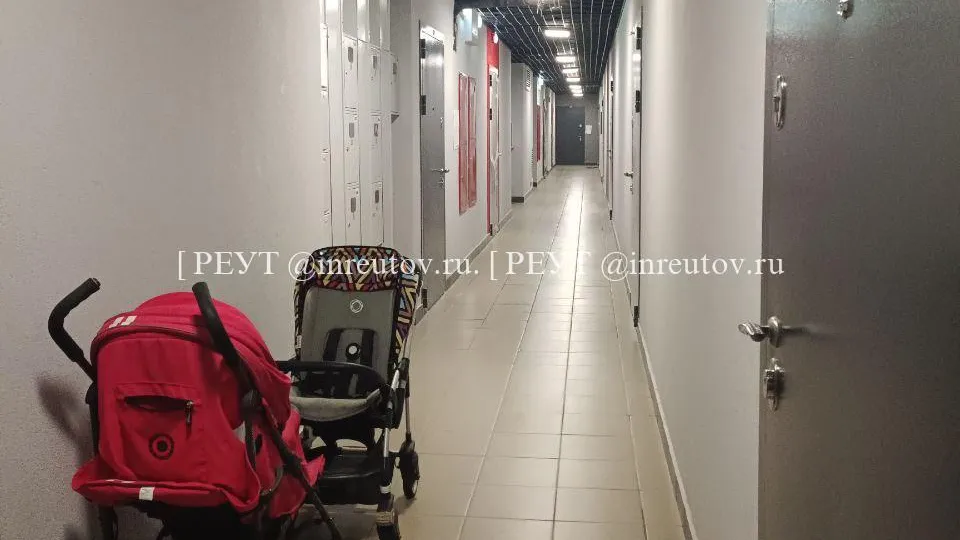 Фото: пресс-служба администрации г.о. Реутов