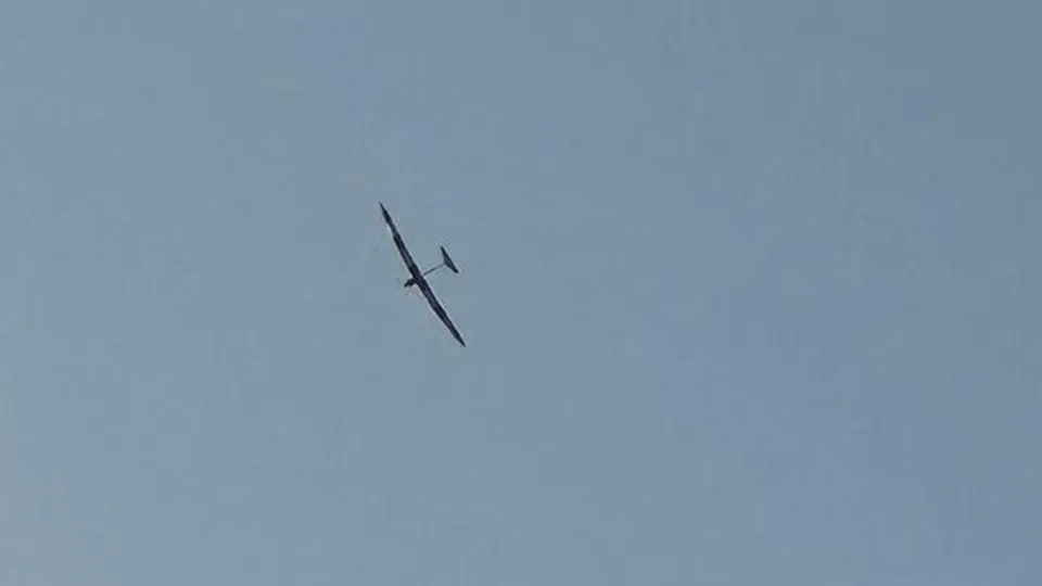 Фото: сommons.wikimedia/Avowedly