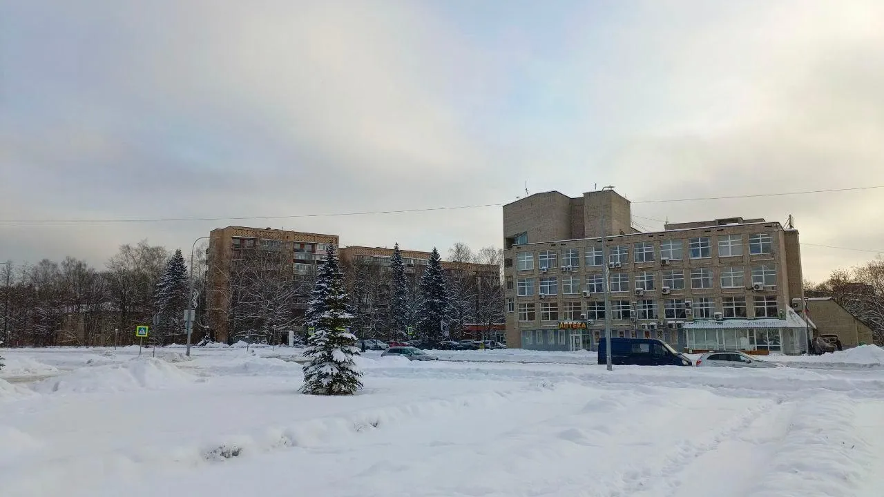 Фото: соцсети