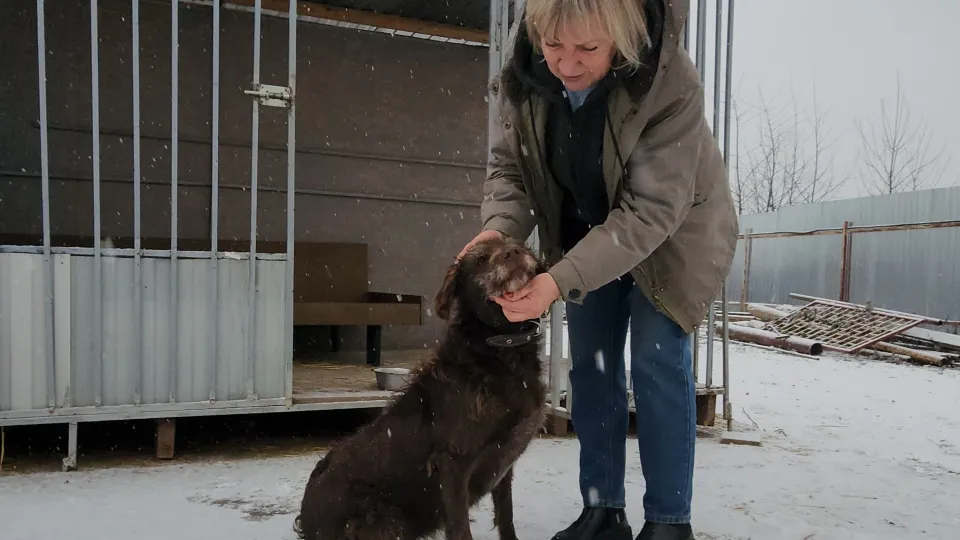 Фото: МедиаБанк Подмосковья/Валерий Гореловский
