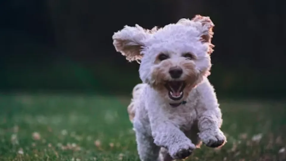 Фото: unsplash.com