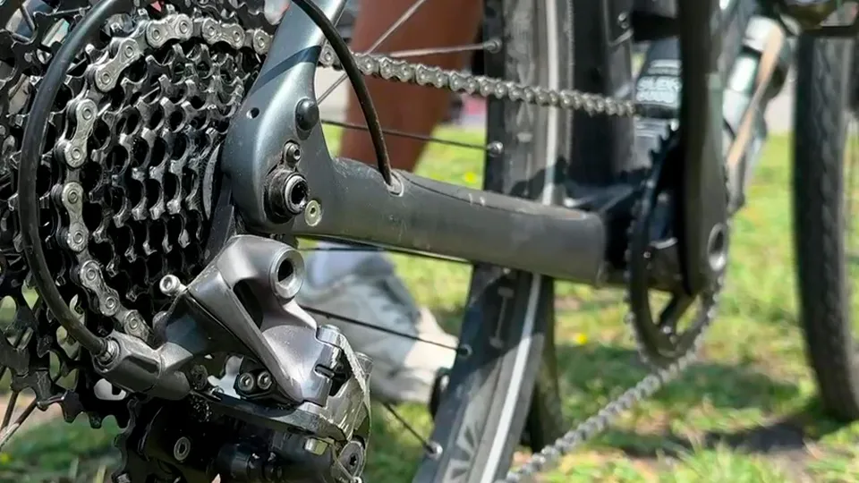 Фото: МедиаБанк Подмосковья/Ксения Казакова