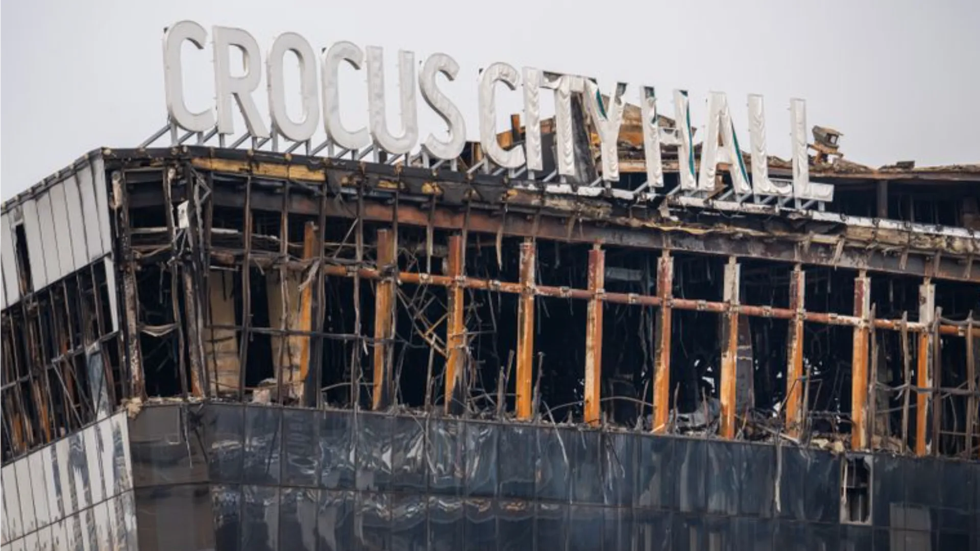 Фото: медиасток.рф