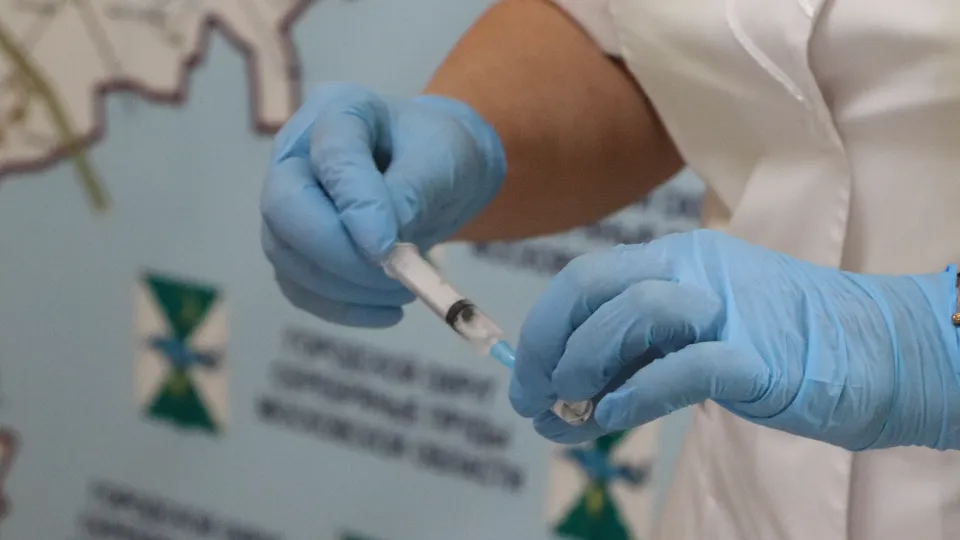 Фото: МедиаБанк Подмосковья/Ирина Матвеева