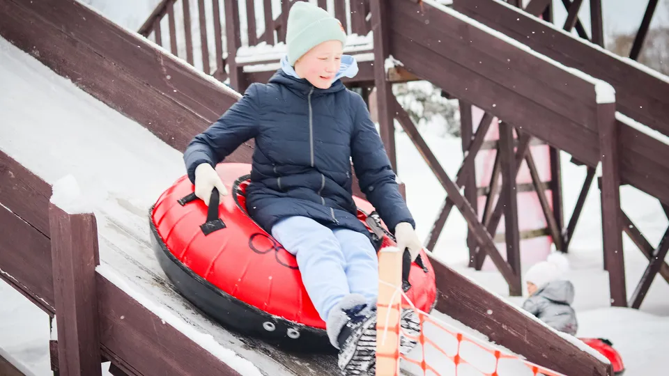 Фото: МедиаБанк Подмосковья/Данила Кирьянов
