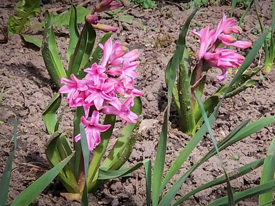 Фото: Ольга Антонова