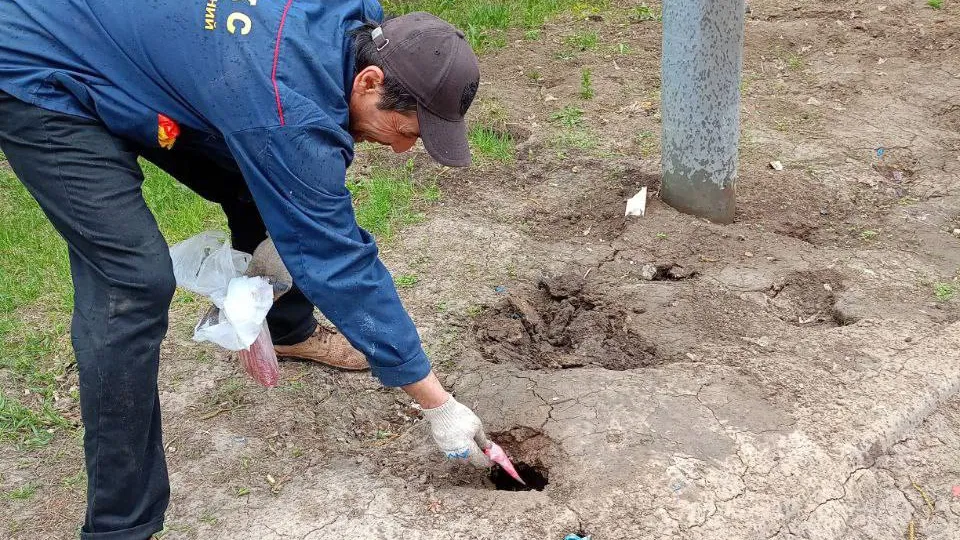 Фото: управление экологии городского округа Мытищи