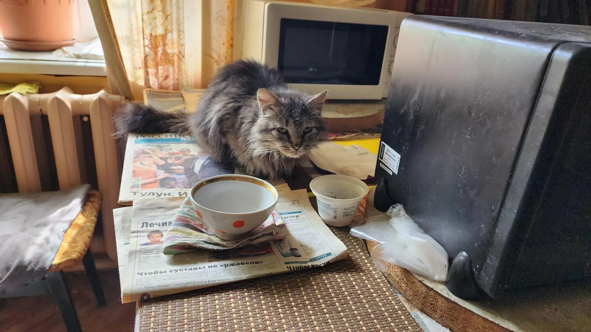 Картинка