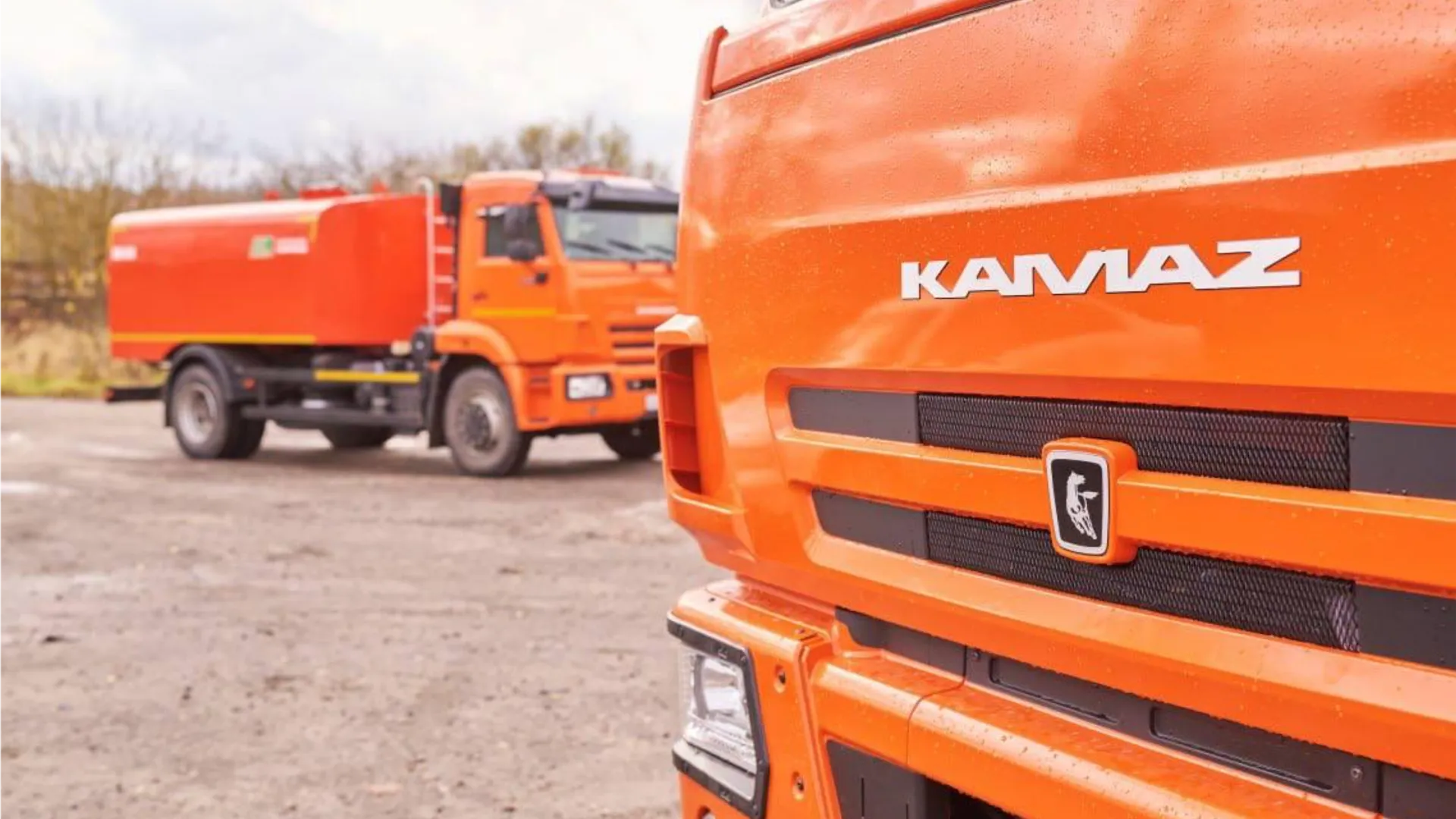 Фото: пресс-служба администрации м.о. Чехов