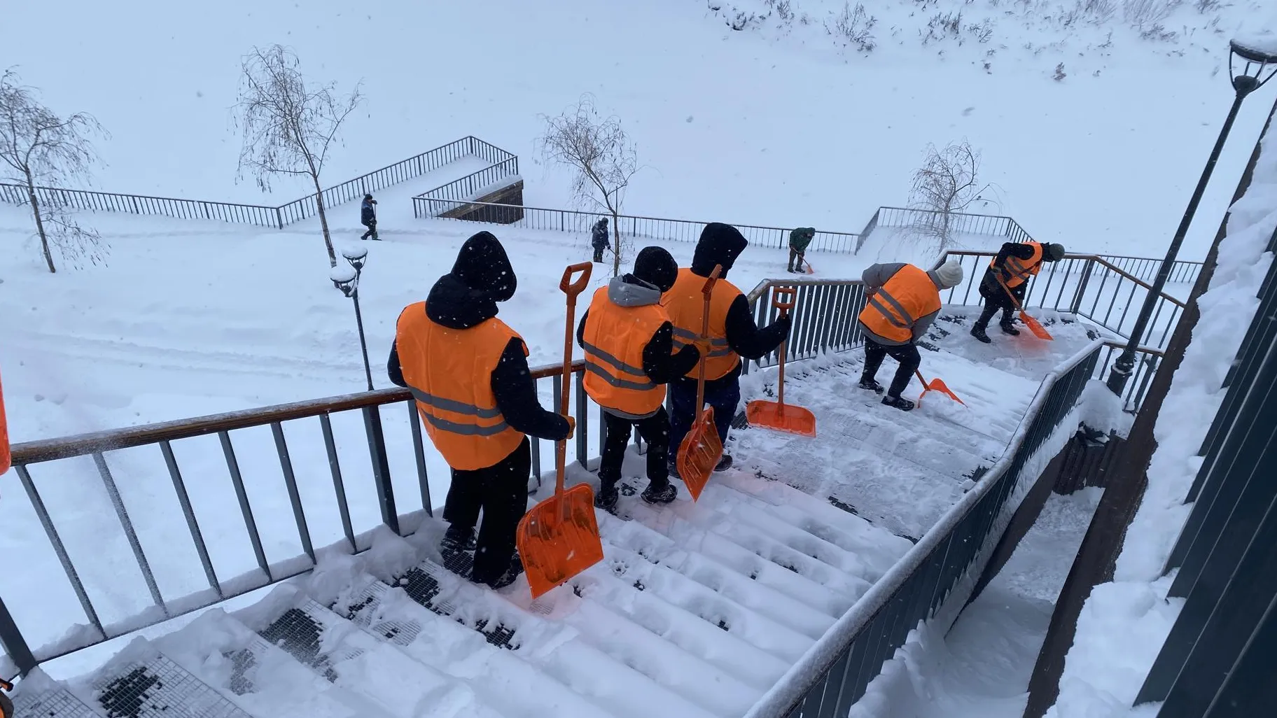 Анна Артюшина