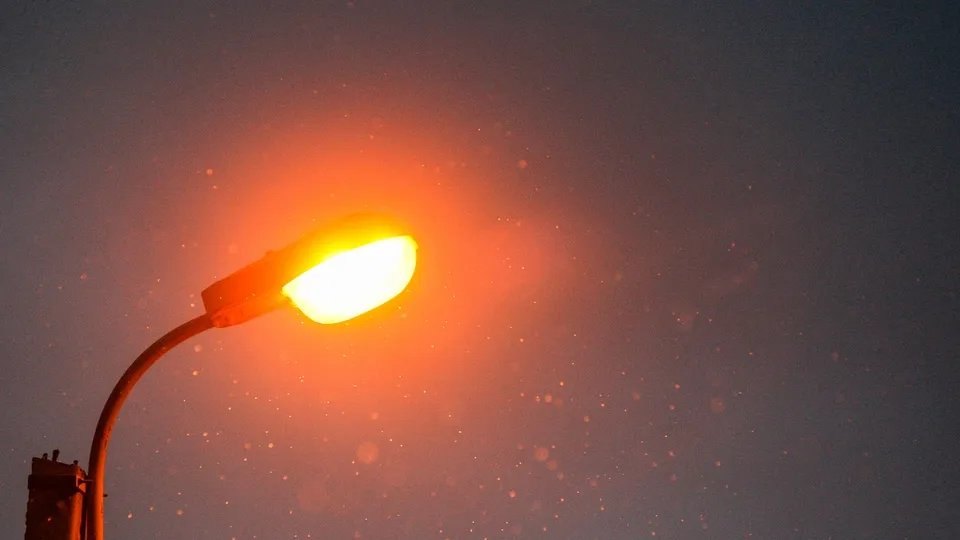 Фото: пресс-служба администрации г.о. Кашира