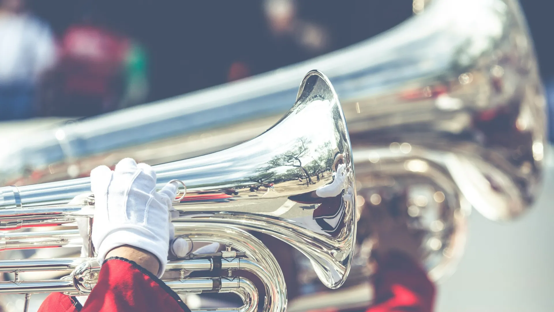 Фото: unsplash.com