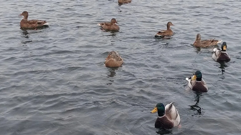 Фото: REGIONS/Юлия Габбасова