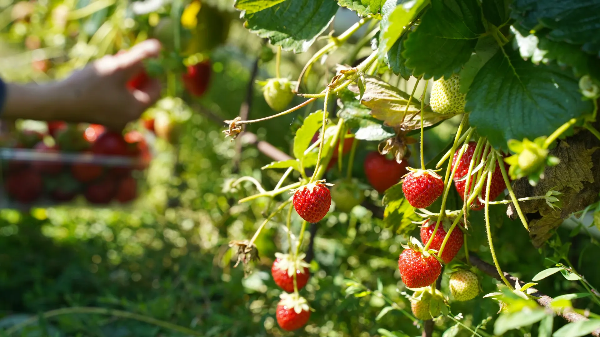 Фото: unsplash.com