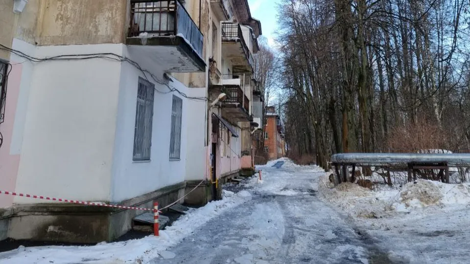 Фото: МЦУР Одинцовского г.о.