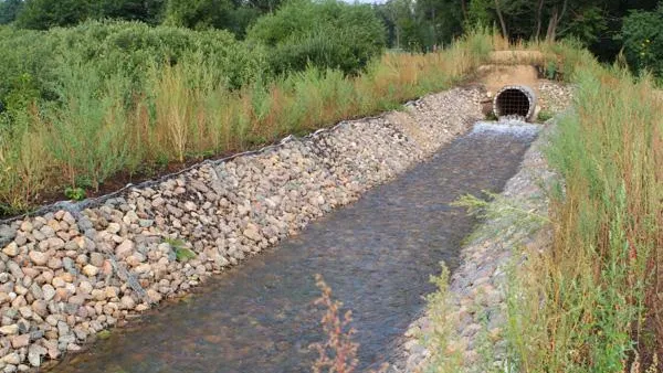 Новые очистные сооружения в Балашихе убили рыбу и отравили воду