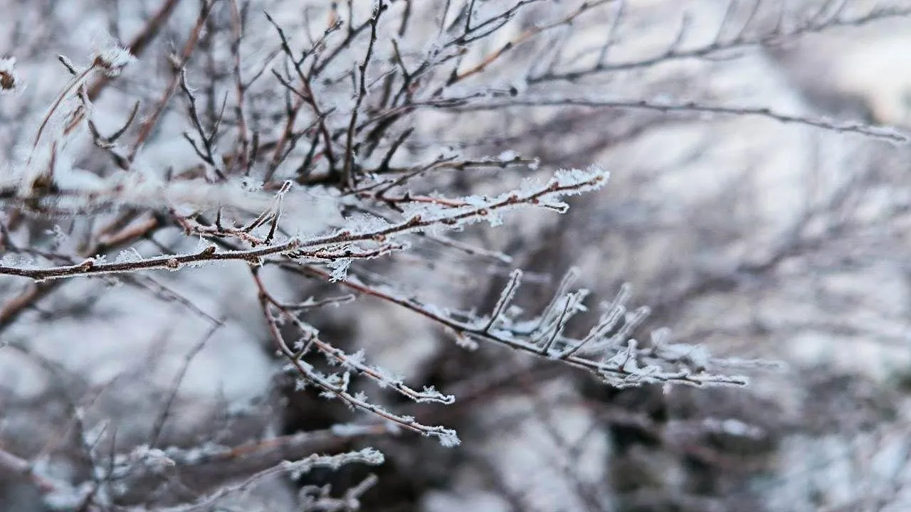 REGIONS/Роман Малышенко