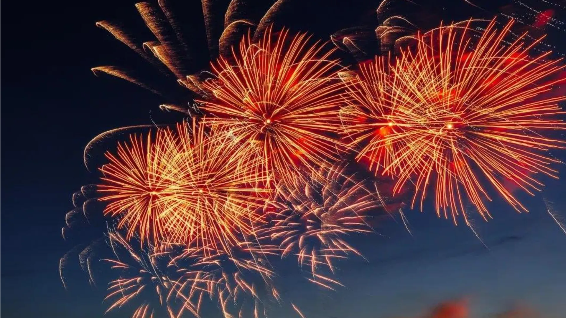 Фото: пресс-служба администрации г.о. Дубна