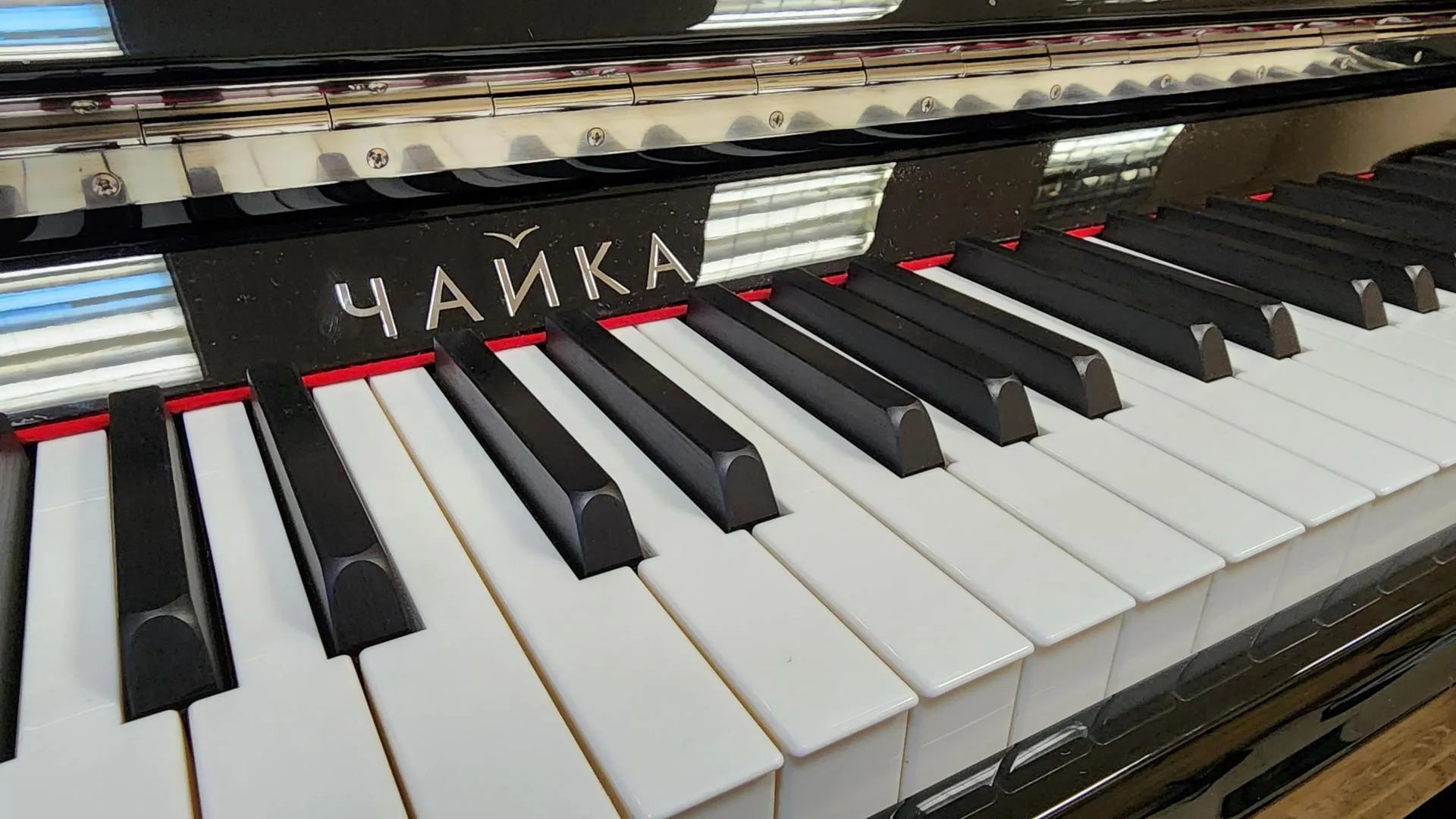 Фото: Валерия Тингаева