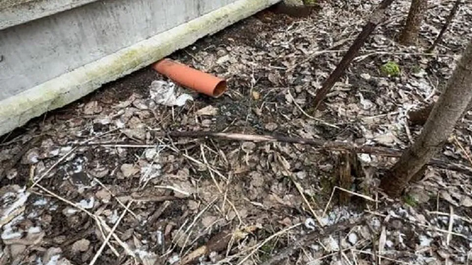 Фото: Минэкологии МО