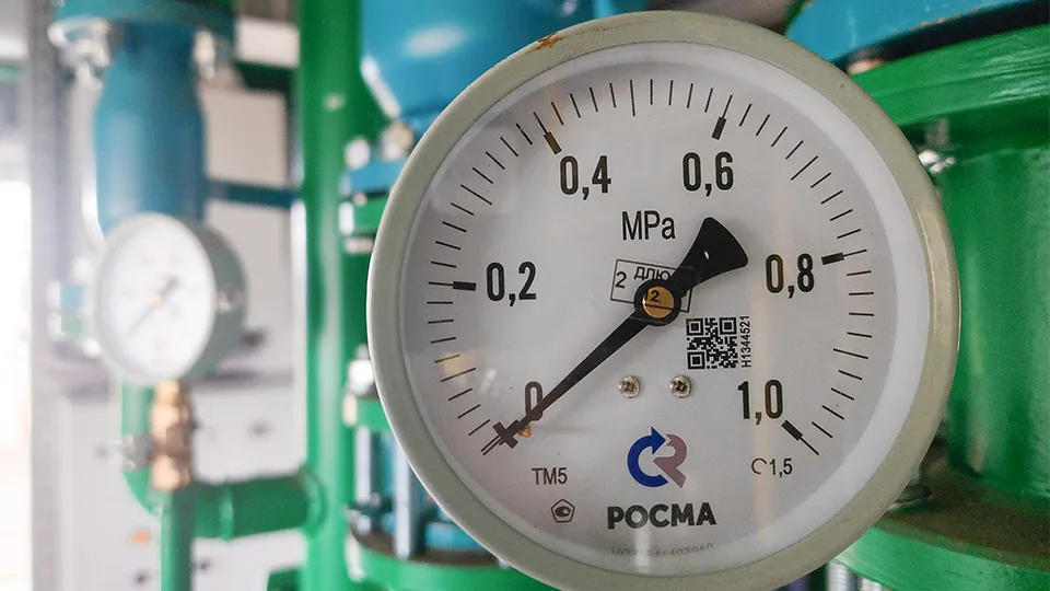 Фото: МедиаБанк Подмосковья/Светлана Плотникова