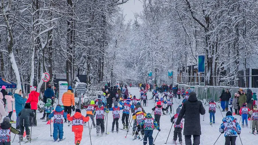 Фото: пресс-служба администрации Одинцовского г.о.