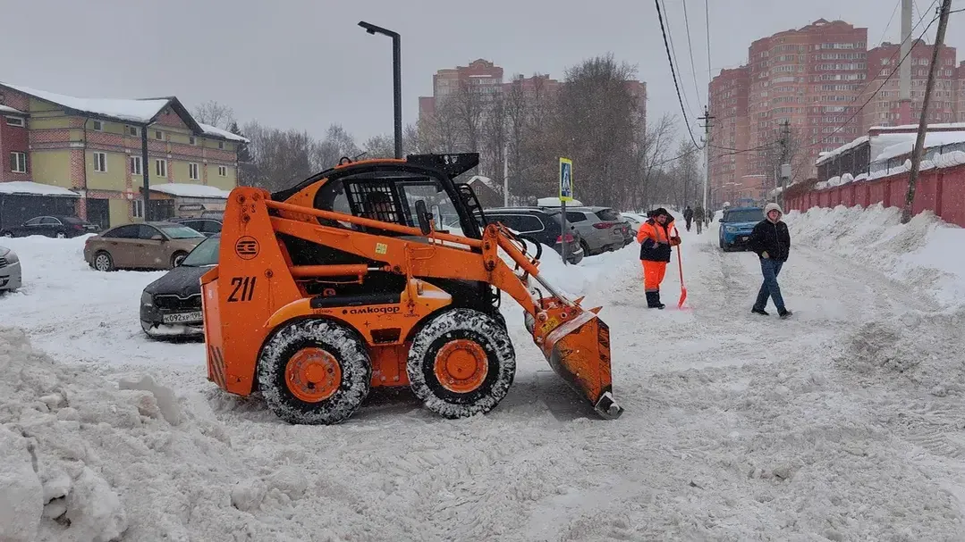 Елена Катасонова