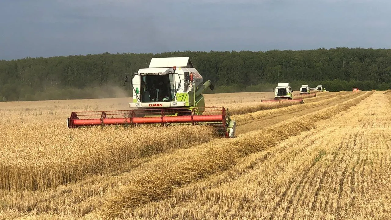 Жители Подмосковья могут принять участие в конкурсе для авторов, пишущих о сельской жизни