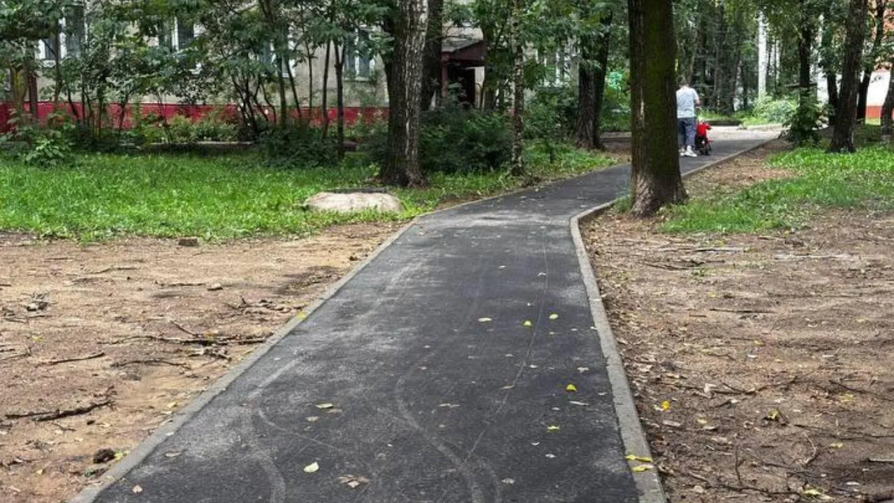 С начала года по программе «Пешком» в Подмосковье обустроили 548 дорожек