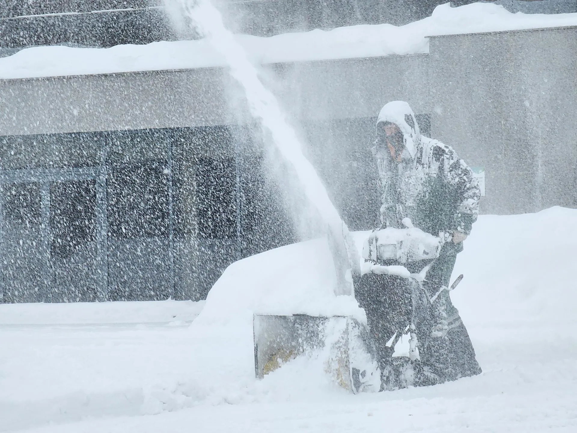 МедиаБанк Подмосковья/Ольга Аввакумова