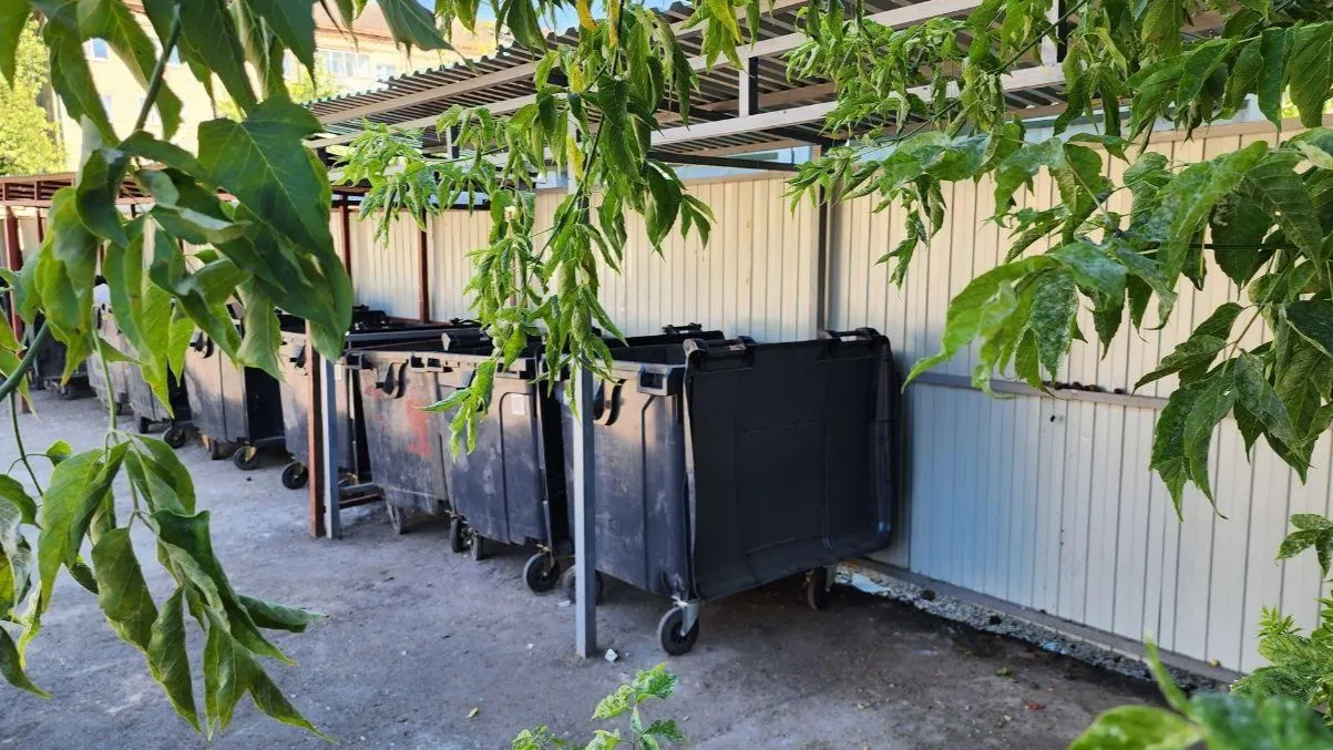 Фото: Яна Шаливская