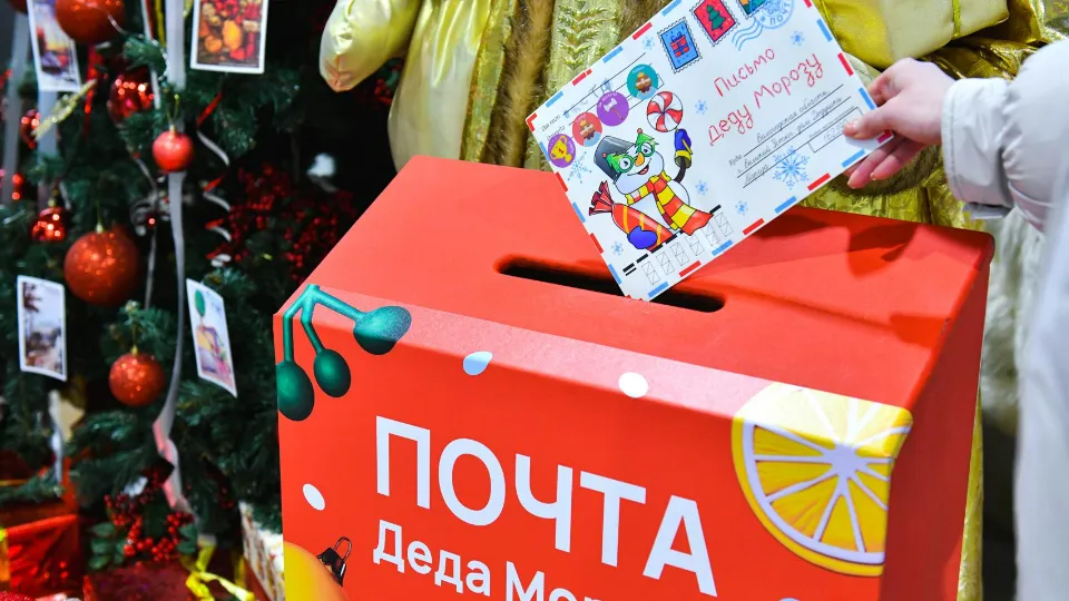 Фото: пресс-служба администрации г.о. Химки