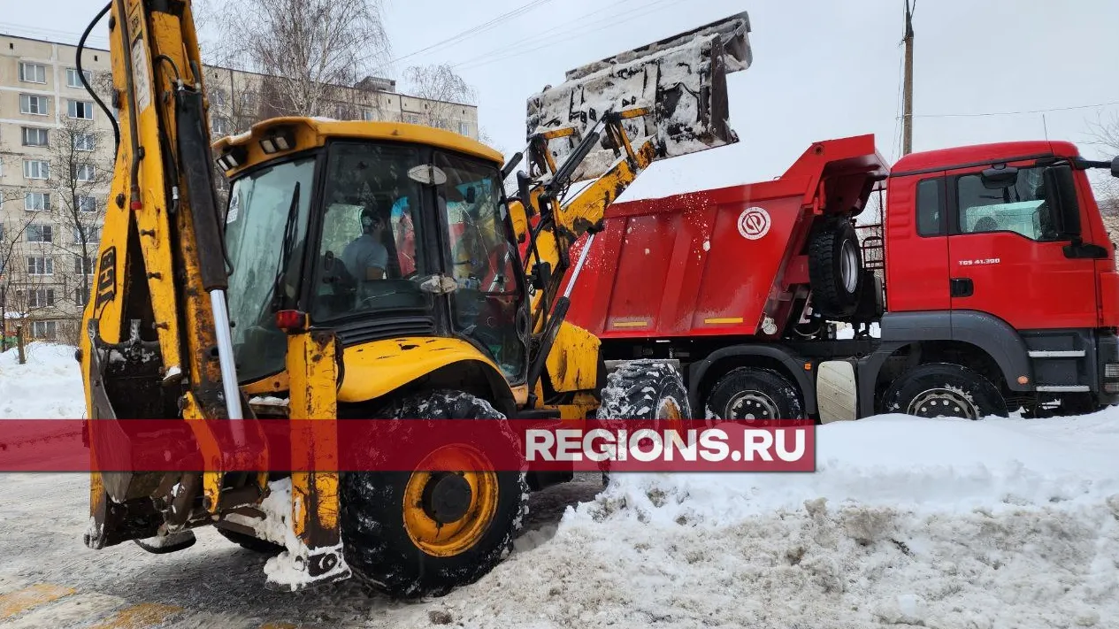 Фото: Роман Яковлев