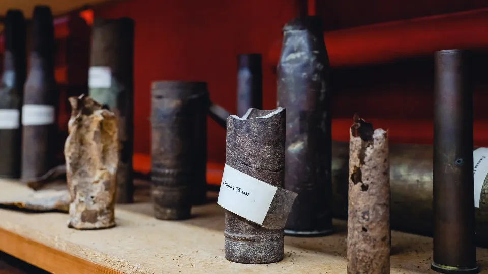 Фото: пресс-служба администрации г.о. Химки