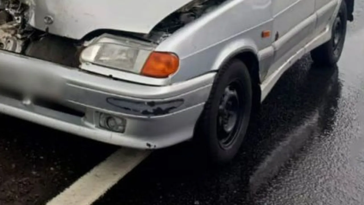 пресс-служба ГУ МВД России по Московской области