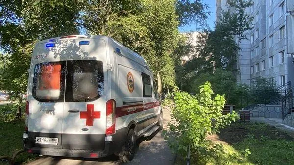 Невские Новости / Александра Лашко