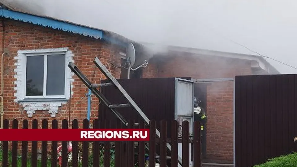 Фото: REGIONS/Александр Дрожжин