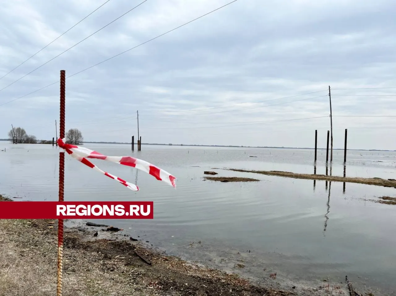 фото: Елена Фурман