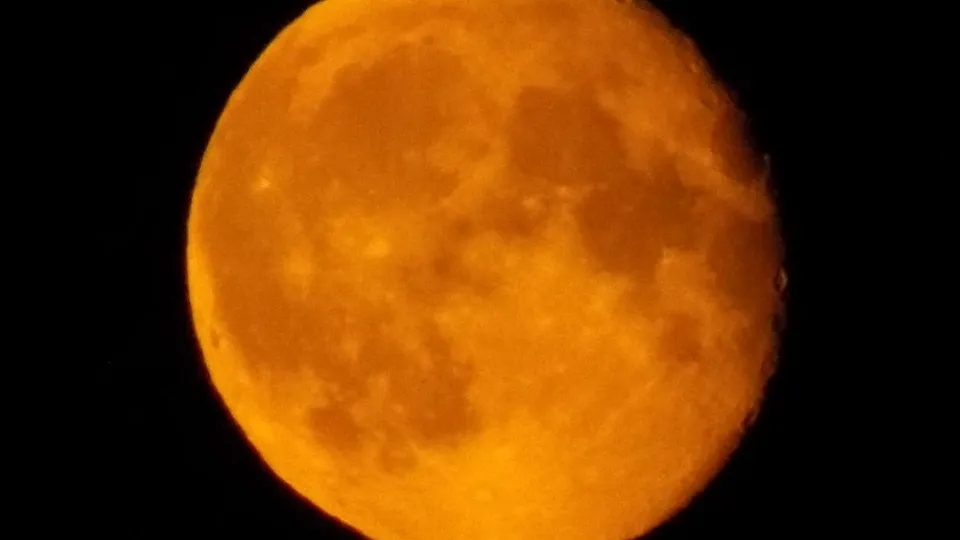 Фото: МедиаБанк Подмосковья/Михаил Мартыненко