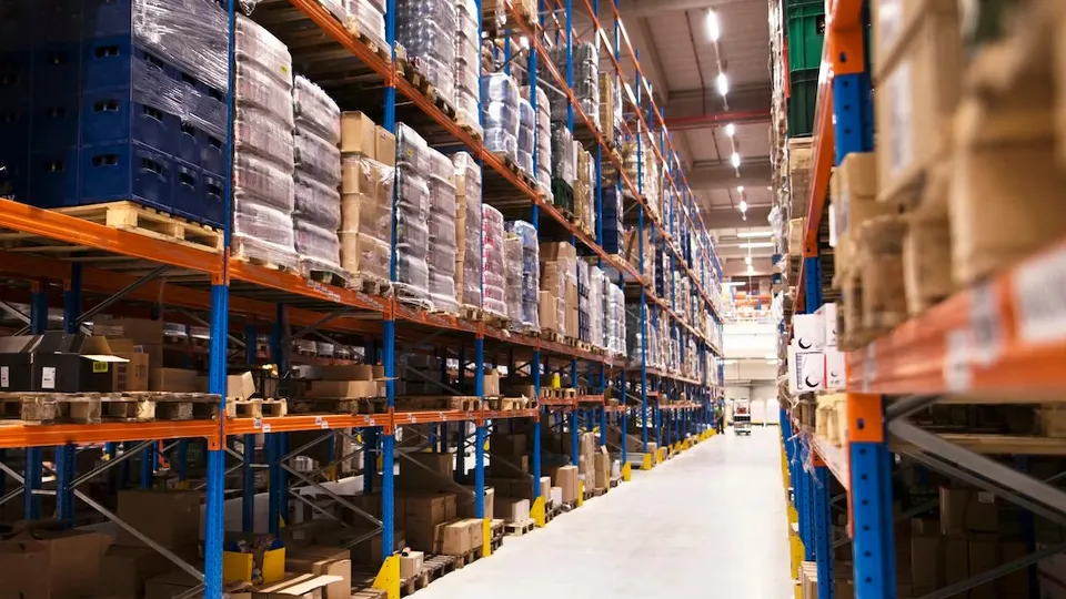 Фото: freepik.com