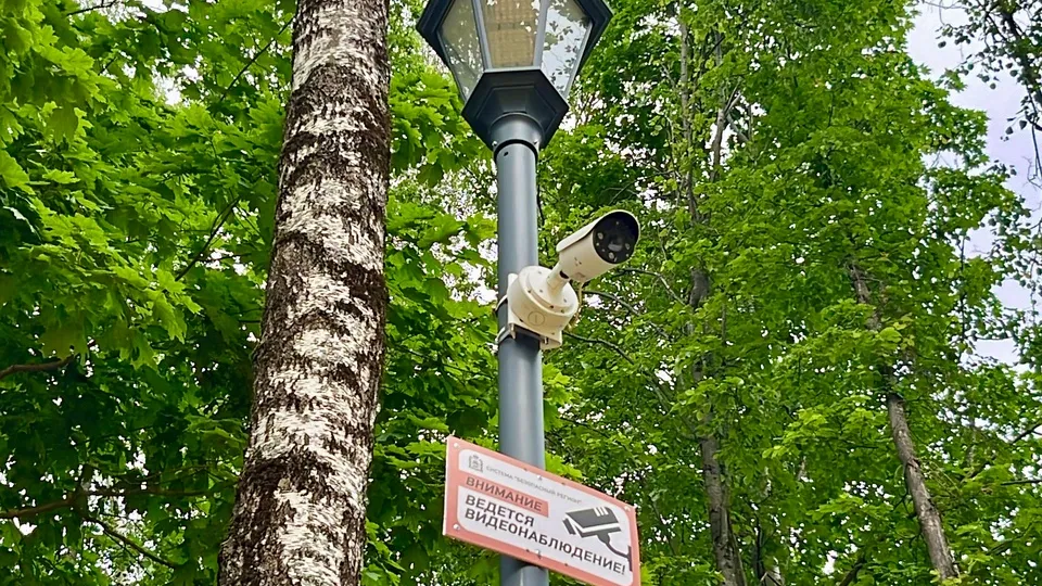 Фото: МедиаБанк Подмосковья/Анна Тюрюмина