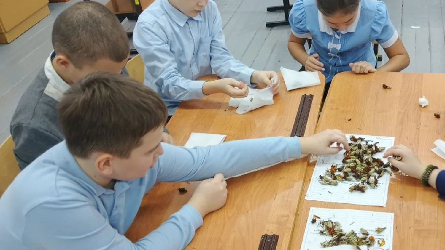 Фото: Мендюкинская средняя школа