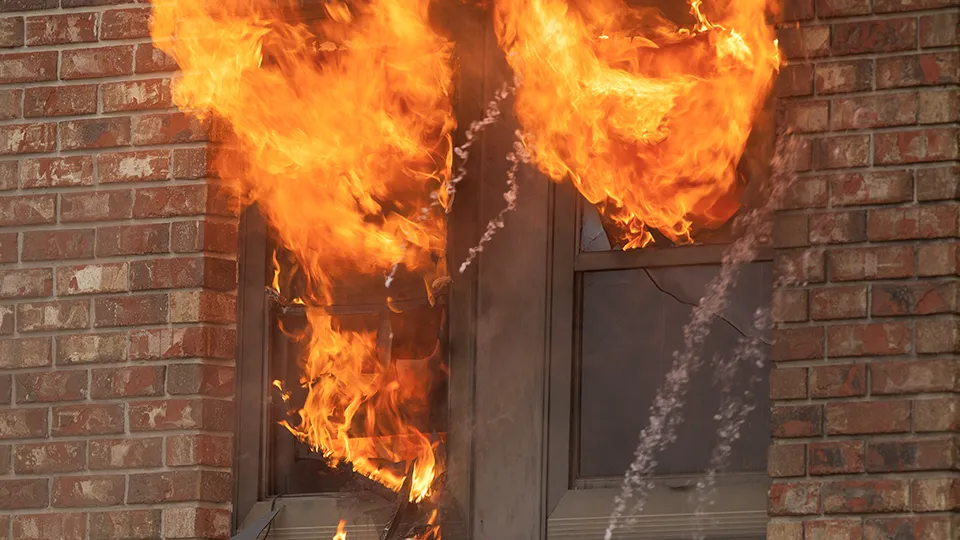 Фото: istockphoto.com/filo