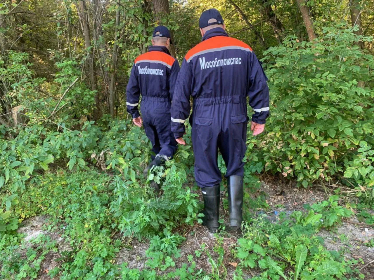 Фото: ГКУ МО «Мособлпожспас»