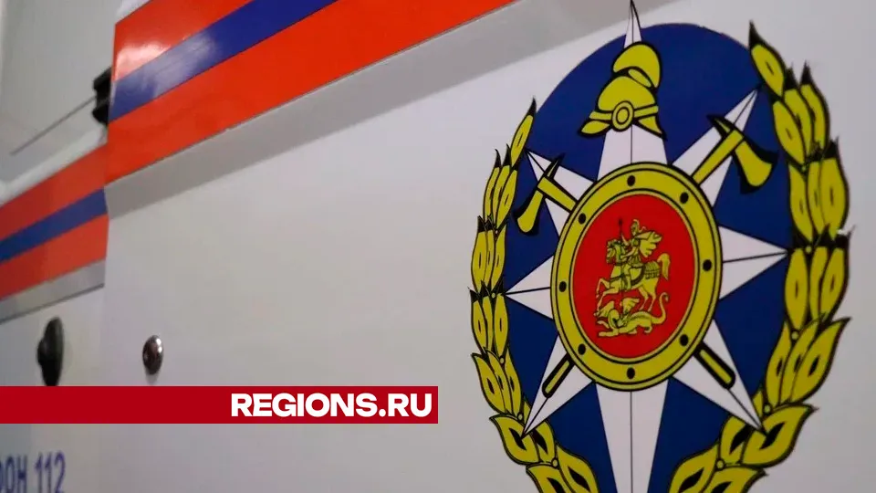 Фото: Regions/Василий Тремасов