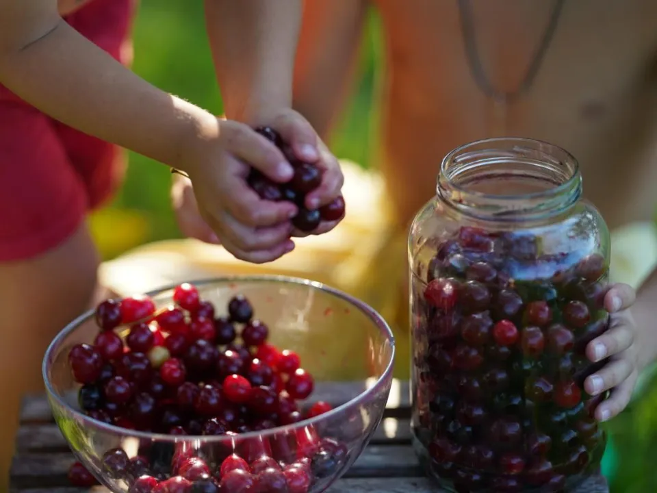 Фото: Полина Фокина