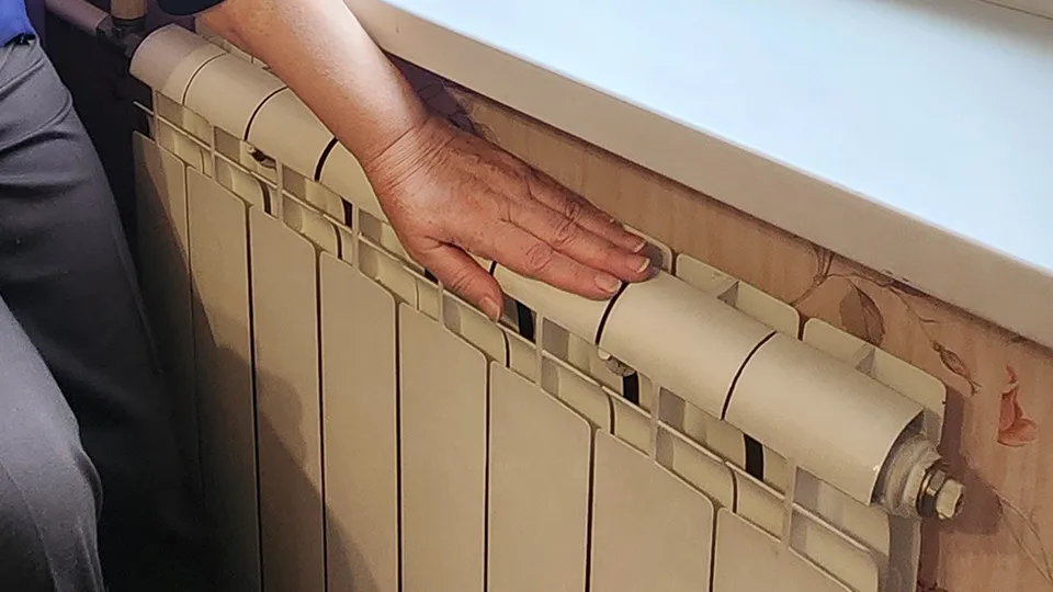 Фото: МедиаБанк Подмосковья/Валентина Максимова